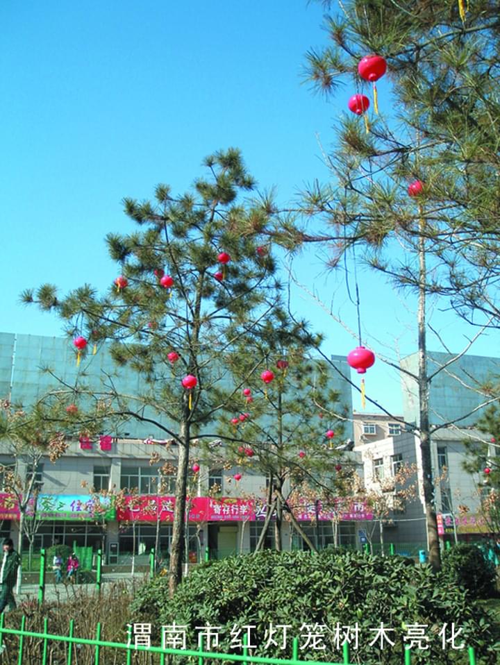 渭南市紅燈籠樹木亮化