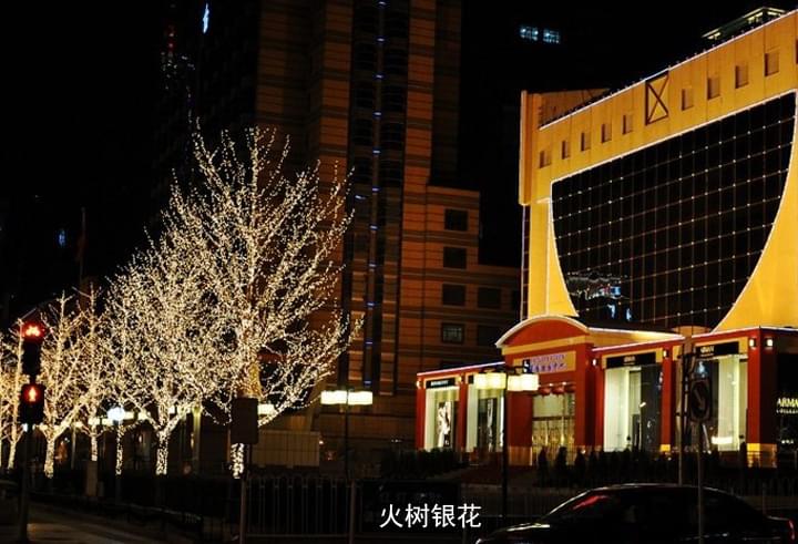 火樹(shù)銀花