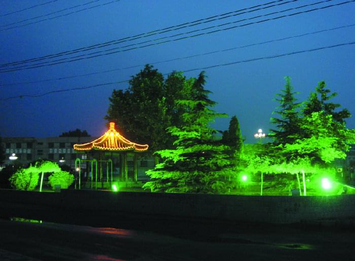 樹(shù)木景觀