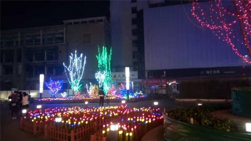 勒泰中心樹木景觀